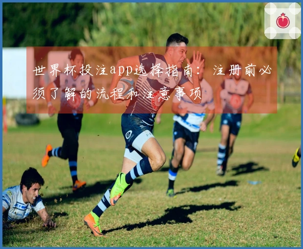 世界杯投注app选择指南：注册前必须了解的流程和注意事项