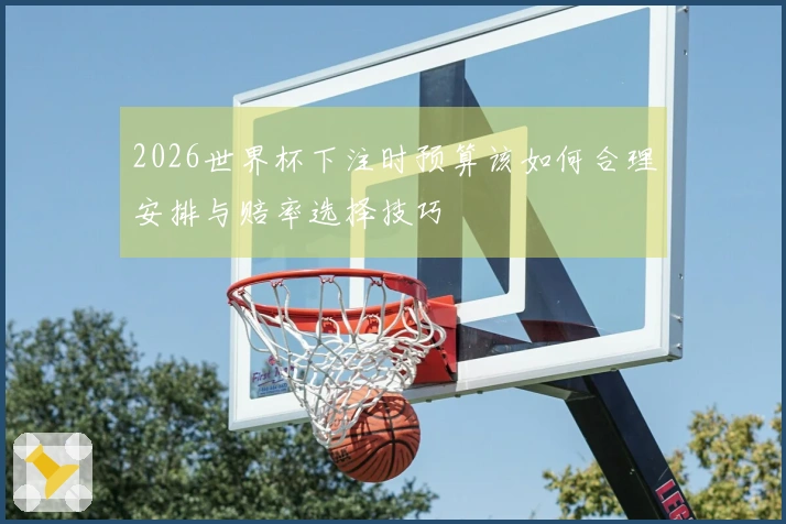 2026世界杯下注时预算该如何合理安排与赔率选择技巧